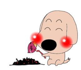 3623211