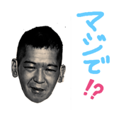 362322381