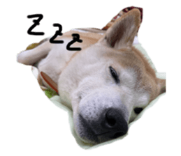 362339063