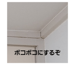 362341550