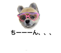 362343123