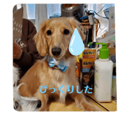362345434