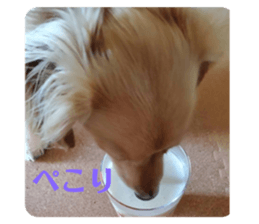 362345436