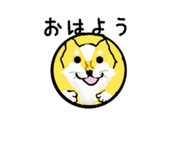 362373262