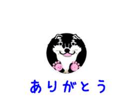 362373269