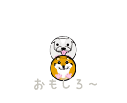 362373274