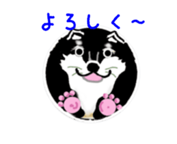 362373277