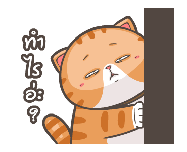 พิกุ - เฟรนช์ บูลด็อก 14 รูปที่ 23