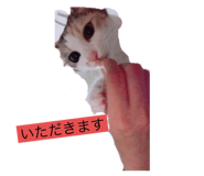 362437624