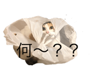362437629