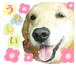 362523698