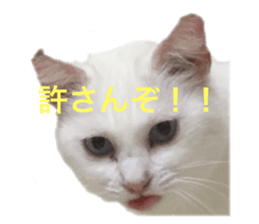 362542950