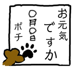 362573202