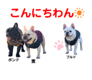 362598262