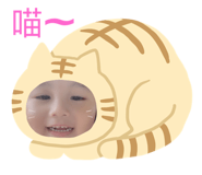 362615050