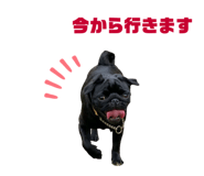 362636676