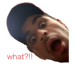 362637844
