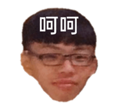 362693784