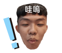 362693785