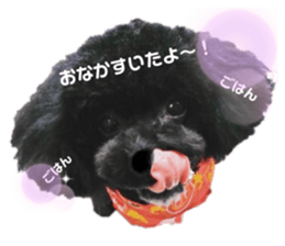 362758448