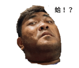 362761918