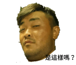 362761919