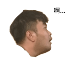 362761924