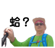 362790628