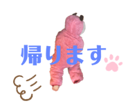 362798158