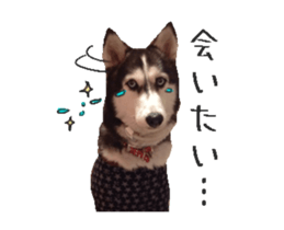 36280159