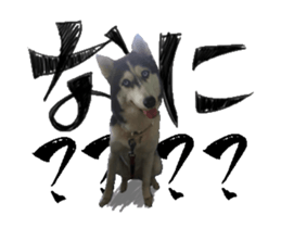 36280165