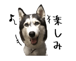 36280170