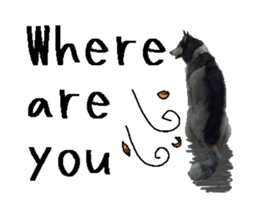 36280174
