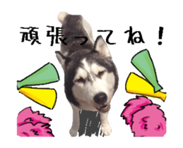 36280179