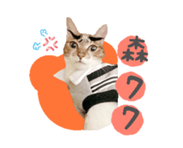 36280189