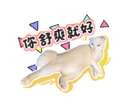 36282554