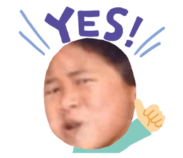 362864551