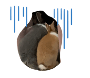 362918580