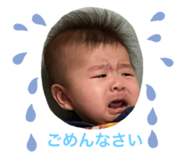 362940196