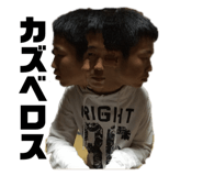 362946761