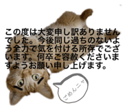 362959272