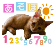 362959275