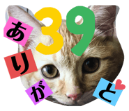 362959276