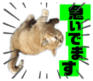362959278