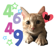 362959279