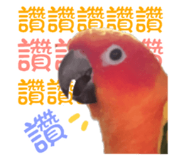 362965041