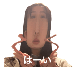 362966884