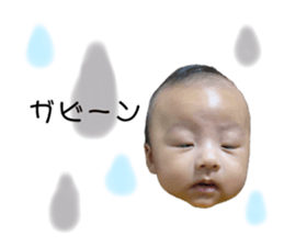 362975462