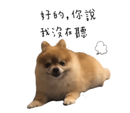 363046577