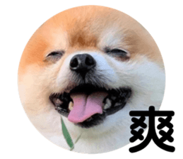 363046589